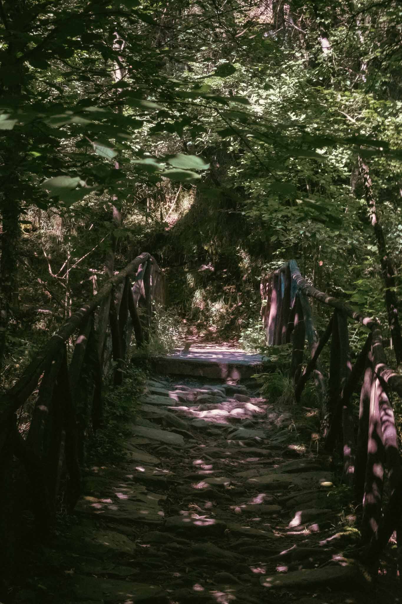 Acquacheta Waterfall